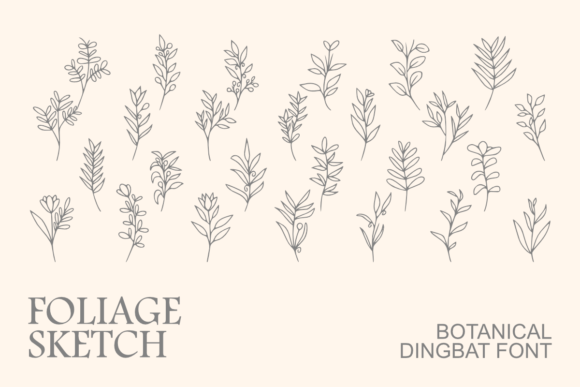 Foliage Sketch: A Botanical Typographic Delight