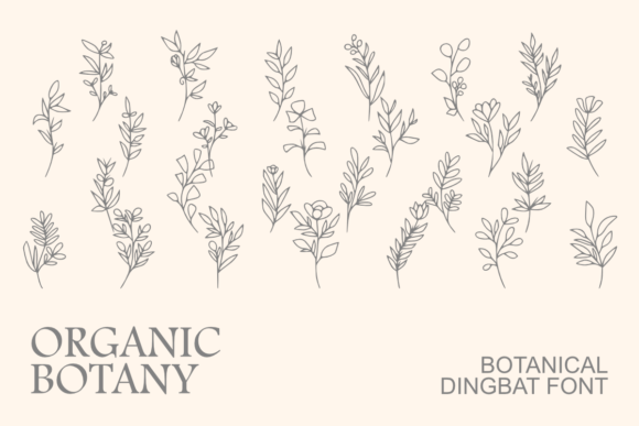 Organic Botany: A Font That Speaks Nature